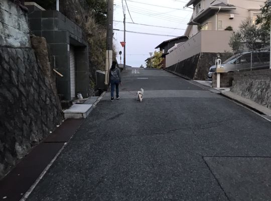 宝塚市　整体院