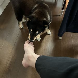宝塚　整体
