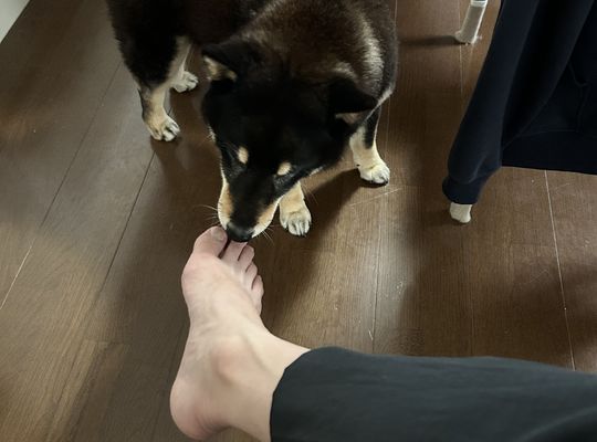 宝塚　整体